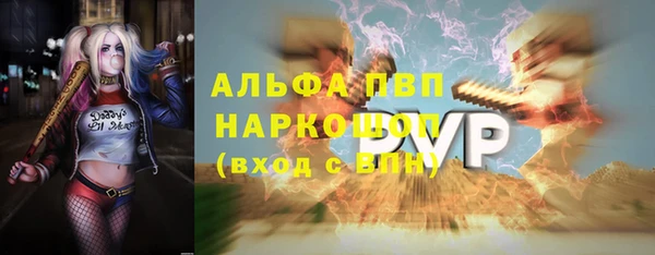 стафф Новокубанск