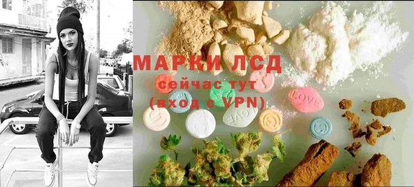 spice Елабуга