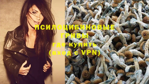 стафф Новокубанск
