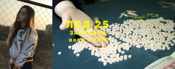 стафф Новокубанск