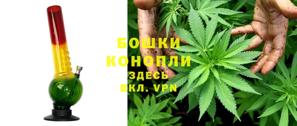 стафф Новокубанск