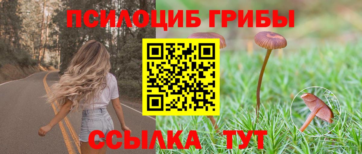 Галлюциногенные грибы Psilocybine cubensis  Вход с VPN  Богородск 