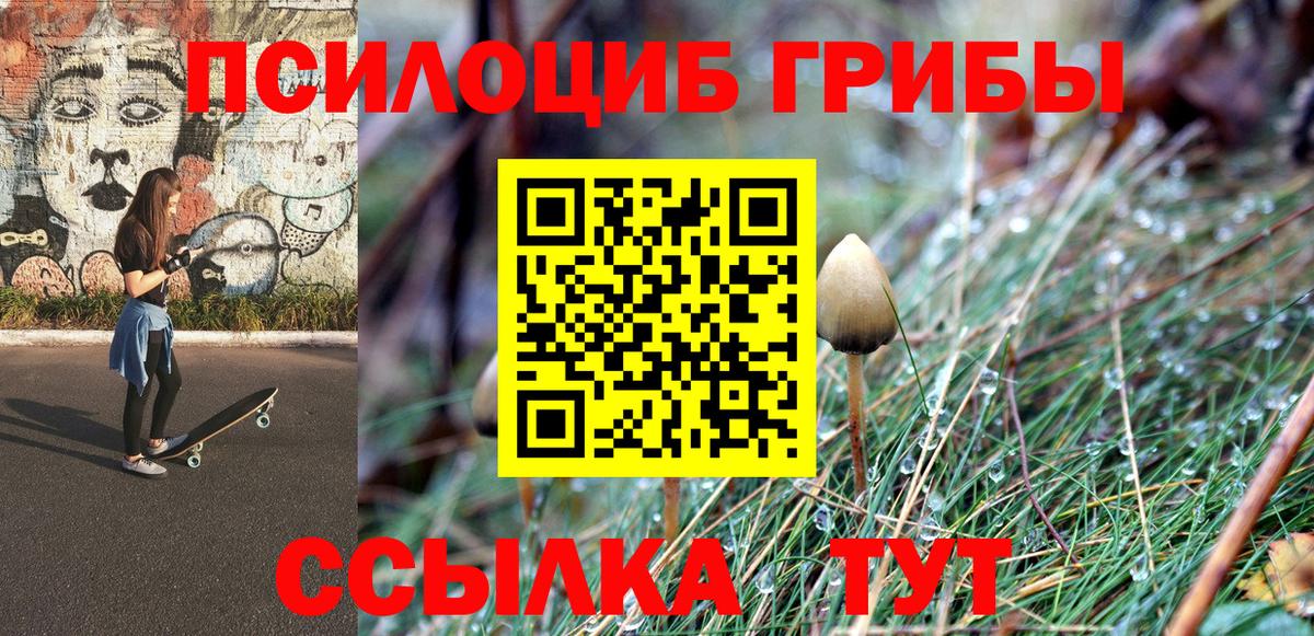 Псилоцибиновые грибы GOLDEN TEACHER  Богородск 